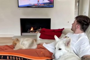 东契奇和老婆爱犬一起看球赛 不知道的还以为在看CBA😂😂😂