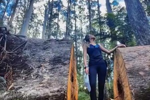 今天逆转居功至伟！李弘权的妻子身材相当顶级！